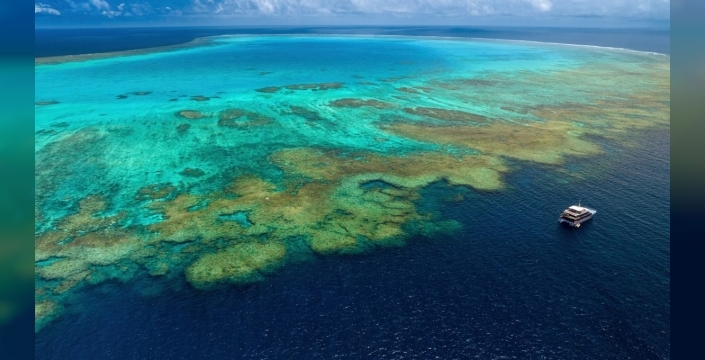 Pasifik'teki sıcak leke: Bilim dünyasını şaşırtan rekor ısınma