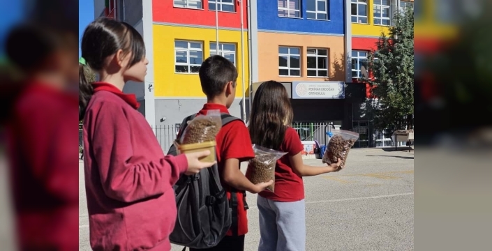 Perihan Erdoğan Ortaokulu'ndan 'Yeşil Vatan Benim Okulum Geleceğe Çare' projesi