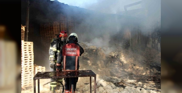 Sakaryada ahşap atölyesi alevlere teslim oldu: Yangın faciası önlendi