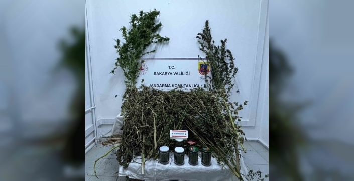 Sakaryada uyuşturucu operasyonları: İki kişi cezaevine gönderildi