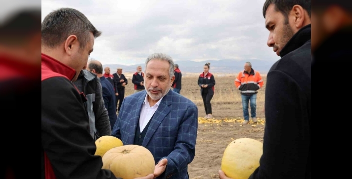 Talas, kabak çekirdeği üretiminde Türkiye birincisi oldu