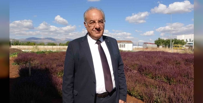 tunceli'de reyhan projesi arılara yeni fırsat sundu