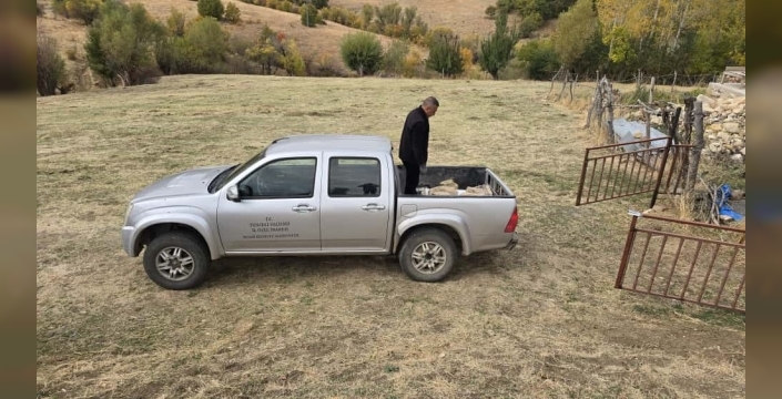 Tunceli'de tarihi taşlar, köy bahçesinden müzeye nakledildi