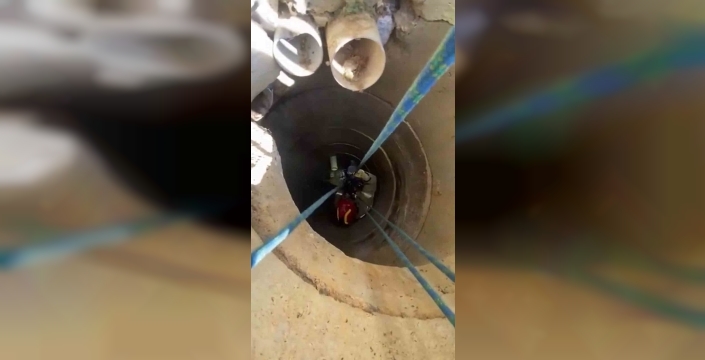 Tuzla'da 10 metrelik su kuyusuna düşen köpek kurtarıldı