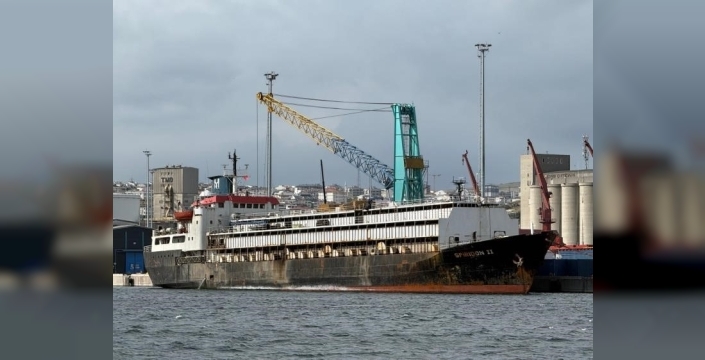 Bandırma limanı'nda şok iddialar: Uruguay'dan gelen hayvanlarda skandal ortaya çıktı! Yürütmeyi durdurma talebiyle dava açıldı!