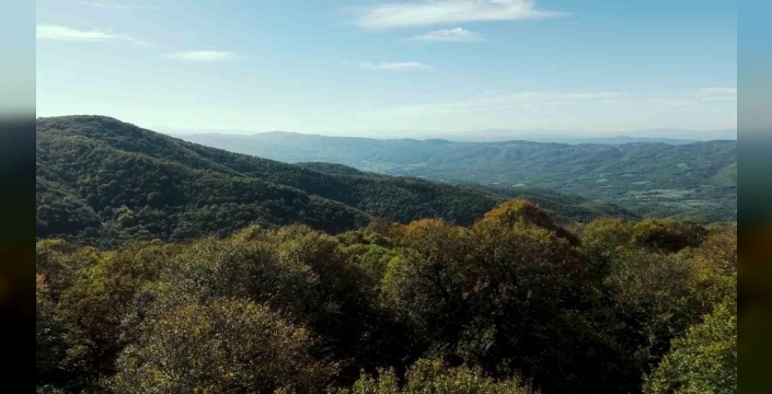 Biga ormanları sonbaharın büyülü renkleriyle büyülüyor: Drone görüntüleri nefes kesiyor!