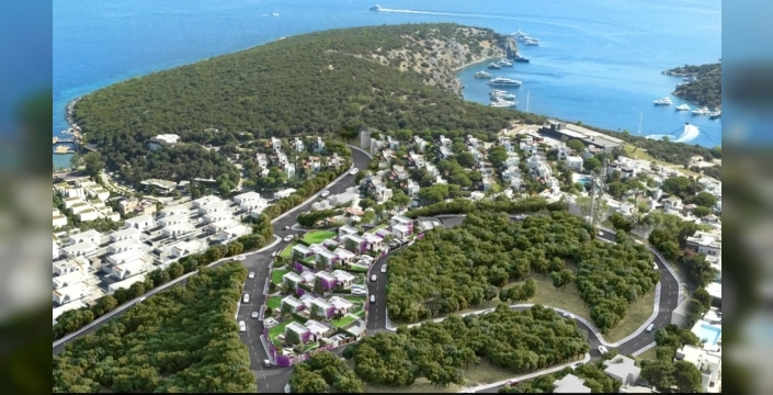 Bodrum 424 Kızılçam Ağacı Kesildi: Sayıştay Raporu İmar İhlalini Ortaya Çıkardı