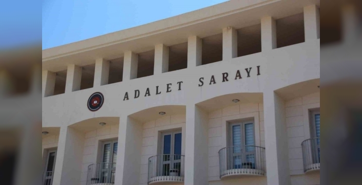 Bodrum'da tüyler ürperten vahşet: Yavru köpekleri vuran adam tutuklandı, acı haber geldi!