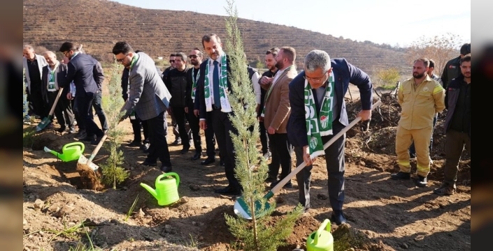 Bursaspor'dan Gürsu'ya yeşil umut: Yangın yıkımını fidanlarla onarıyor!