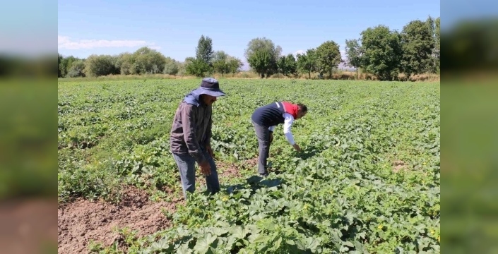 Çks başvuruları için son gün 31 aralık!