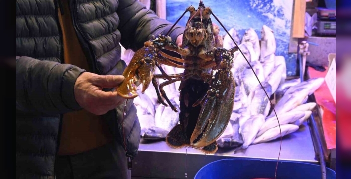 Eskişehir'in sofralarını süsleyen İskenderun lezzeti: Yılan balığı coşkusu