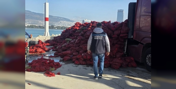 İzmir'de şok baskın: 27 ton kara midye denize geri döndü!