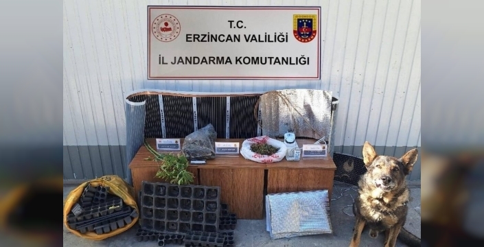 Kasım ayında Jandarma'dan önemli başarı: 124 olayın %93'ü aydınlatıldı