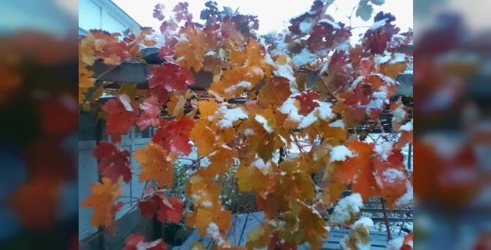 Kırşehir'in yüksek kesimlerinde kar yağışı etkili oldu