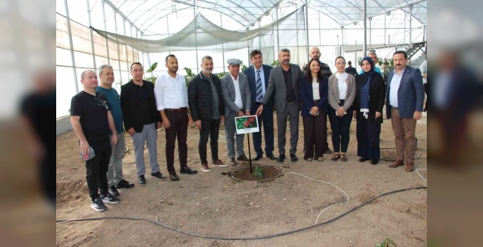 Kumluca'da kahve mucizesi: Türk tarımı yeni bir döneme giriyor