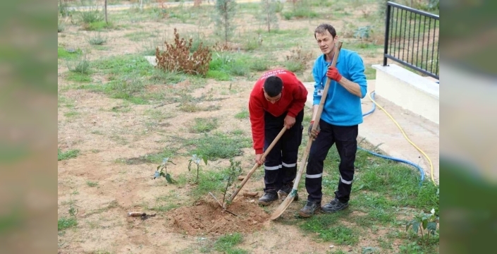 Menteşe Akçaova TOKİ'den Yeşil Vatan’a fidan desteği