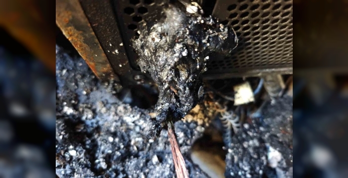 Nazilli’de korkunç yangın: Bilgisayar kasasından kaynaklandı!