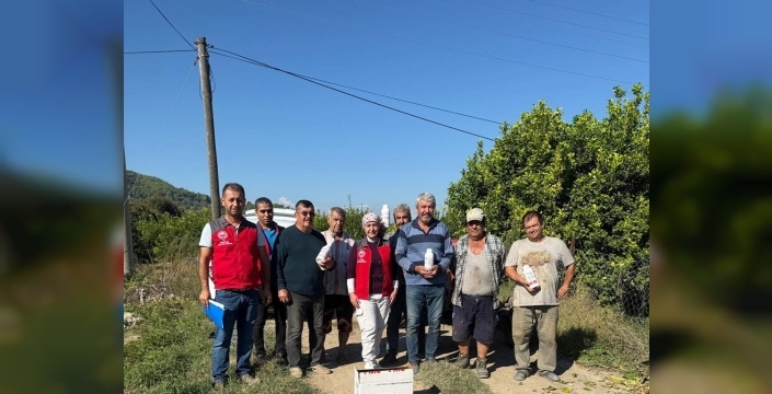 Ortacada narenciye bahçelerinde zararlılarla savaş sürüyor