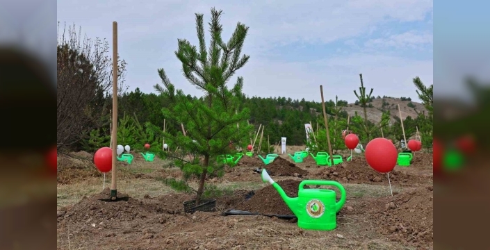 Sivas'ta geleceğe nefes: 90 bin fidan toprakla buluştu