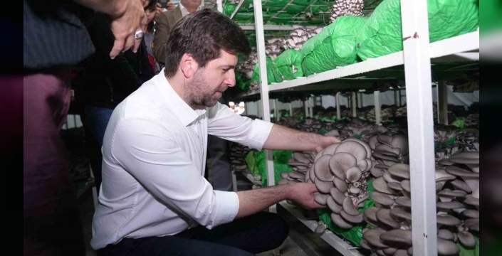 Tarsus'ta istiridye mantarı kursundan ilk hasat: Hem öğreniyorlar hem kazanıyorlar!