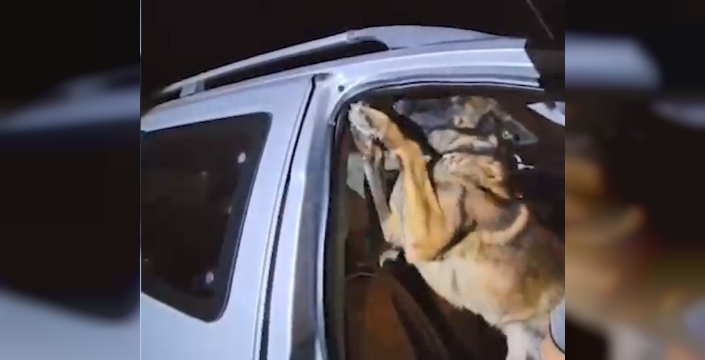 Tatvan'da uyuşturucu balyaları ele geçirildi! Kuryeye tutuklama şoku