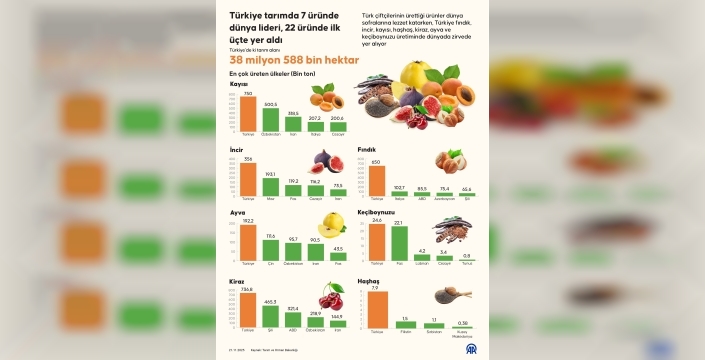 Türkiye tarımda zirveyi zorluyor: 7 ürünle dünya lideri olmayı başardı