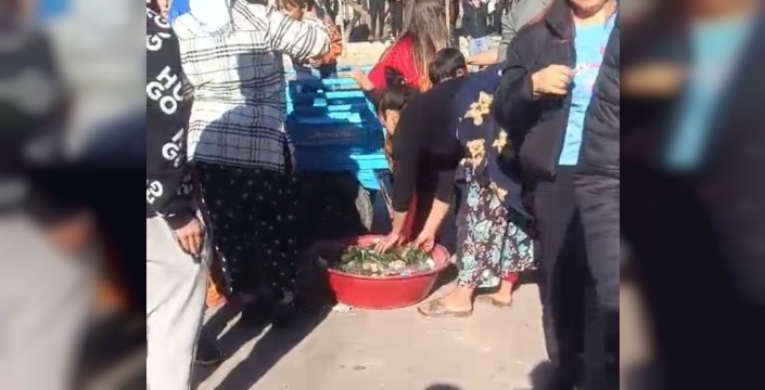 Adana'da komşu dehşeti: Aşiret kavgası sokakları savaş alanına çevirdi!