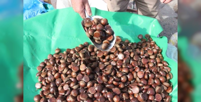 Aydın'da kestane hasadı tamamlandı, üreticiler pazarda sabırla satış yapıyor