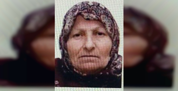 Bilecik'te kaybolan 67 yaşındaki kadın jandarma ekiplerince sağ salim bulundu