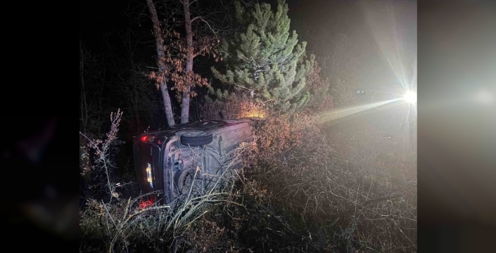 Bilecik'te şarampole uçan araçta 2 kişi yaralandı