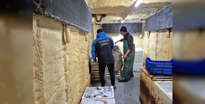 Çanakkale'de denetim şoku: 525 kilo yasa dışı balığa el konuldu