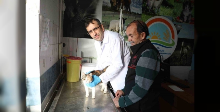 Evcil hayvan sahiplerine son uyarı: Mikroçip için 31 Aralık 2025'e kadar süre var!