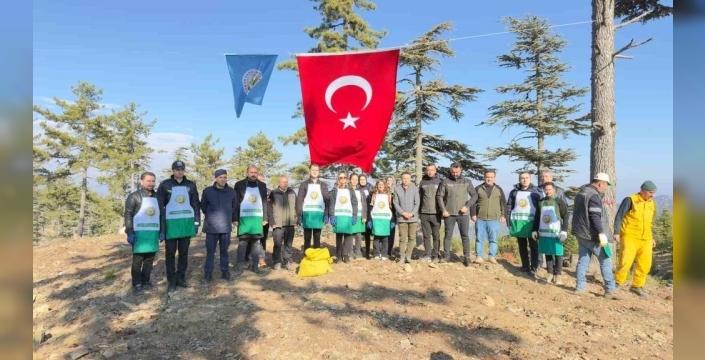 Feke'de doğaya nefes: Bir ton sedir tohumu toprakla buluştu
