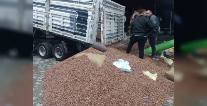 Fındık fiyatları yılbaşı öncesi yükselişe geçti