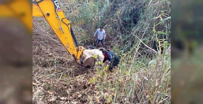 Hatay'da dereye düşen inek, itfaiye ekiplerinin ustaca operasyonuyla kurtarıldı
