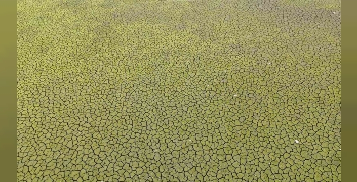 İstanbul barajlarında kuraklık alarmı: Su seviyeleri tehlikeli düzeye indi