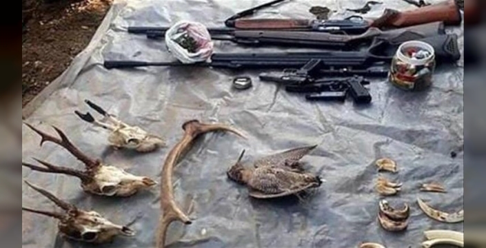 İstanbul'da elektrik şoklu kaçak avcılığa 750 bin lira ceza