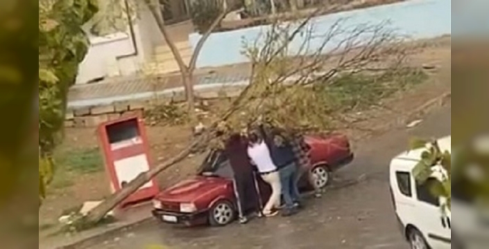 İzmir'de fırtına kabusu: Park halindeki araç ağacın altında kaldı!