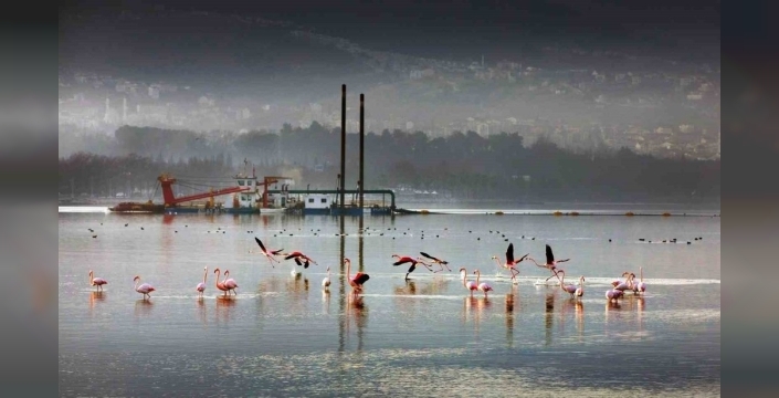 Marmara Denizi alarm veriyor: Her gün 4.5 milyon metreküp kanalizasyon atığı denize akıyor
