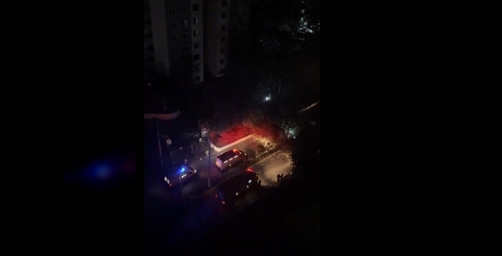 Mersin'de korkunç kaza: Ağaç otomobilin üzerine devrildi!