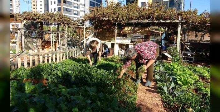Mersin'de şok karar: Kronik hastaların terapi bahçesi yıkılacak