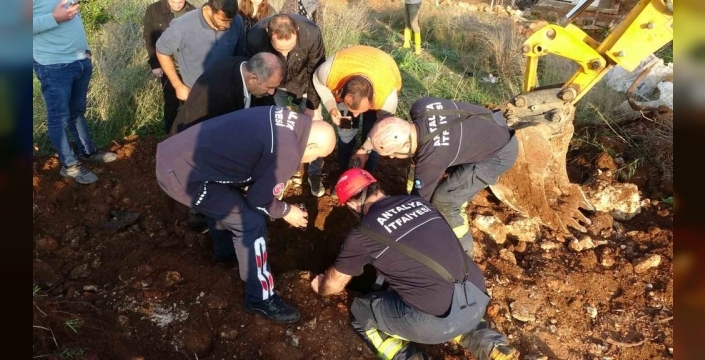 Mucize kurtuluş: 5 metrelik kuyuda mahsur kalan 2 koyun, küçük çobanın dikkatiyle bulundu