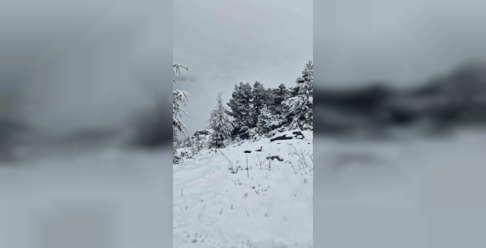 Muğla'da kışın ilk müjdesi: Göktepe Dağı beyaza büründü