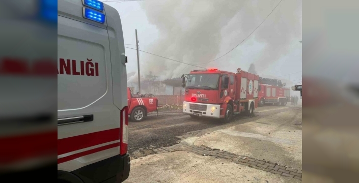 Muratlı'da yürekleri ağza getiren yangın: Bir kişi dumanlardan etkilendi