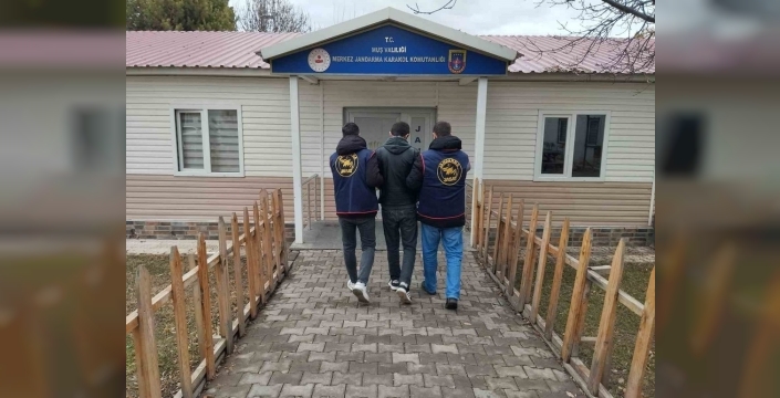 Muş'ta dolandırıcılık suçundan aranan hükümlü yakalandı