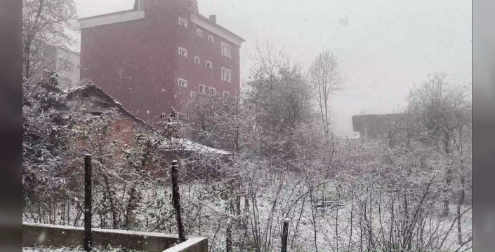 Ordu'nun yüksek kesimleri karla kaplandı