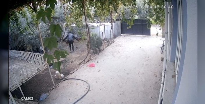 Osmaniye'de tavuk çalan zanlı tutuklandı