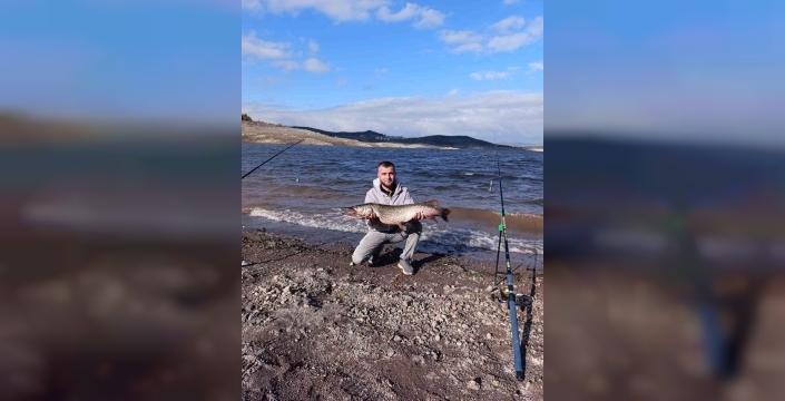 Sındırgı'da dev sazan balığı avlandı, karaca ise göz doldurdu