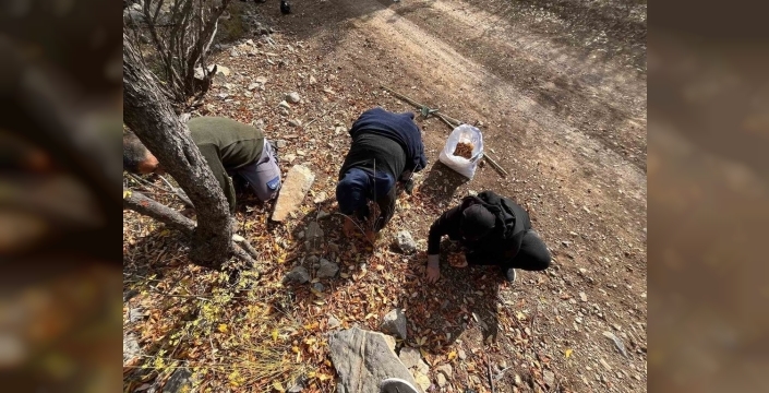 Toroslar'ın gizemli hayırseveri: 30 yıl önce aşıladığı meyveler bugün hala bölge halkına umut oluyor