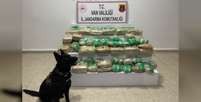 Van'da dev operasyon: 51 kilo skunk ele geçirildi